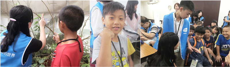 輝瑞大藥廠陪伴世界和平會服務學童的自然生態活動寫真